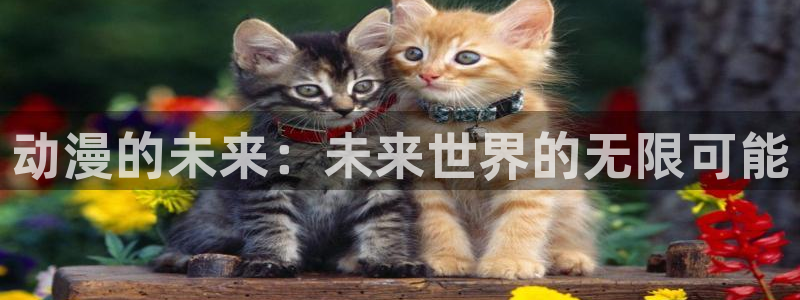 汗汗漫画推荐搜索：动漫的未来：未来世界的无限可能