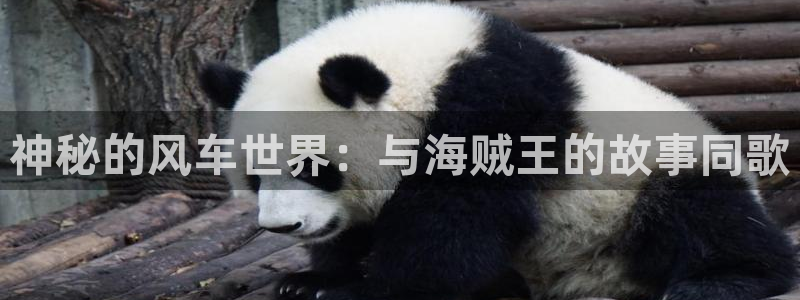 汗汗漫画本月排行：神秘的风车世界：与海贼王的故事同歌