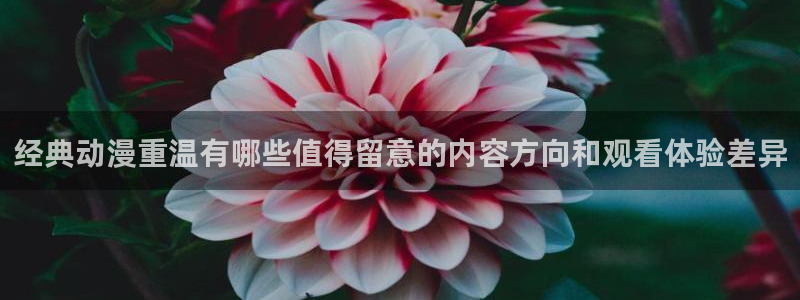 汗汗漫画在线完整版：经典动漫重温有哪些值得留意的内容方向和观看体验差异