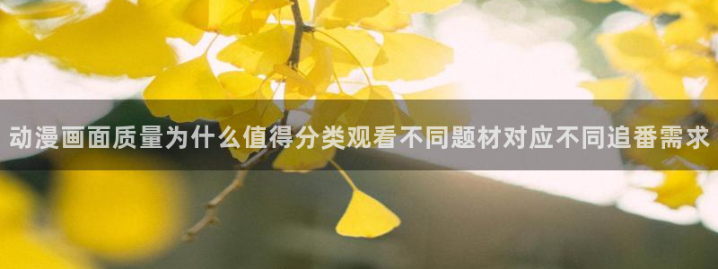 汗汗漫画阅读中文版：动漫画面质量为什么值得分类观看不同题材对应不同追番需求