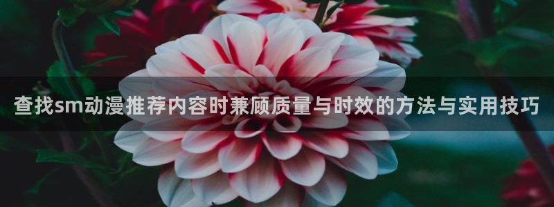 汗汗漫画中文在线阅读：查找sm动漫推荐内容时兼顾质量与时效的方法与实用技巧
